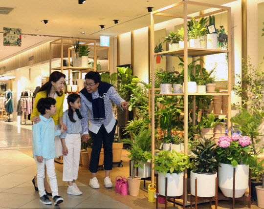 신세계백화점이 미세먼지를 제거해 주는 공기정화식물을 소개한다. 사진은 신세계백화점 강남점의 그리너리 페어 전경. <신세계백화점 제공>